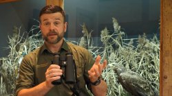 GECO Gold 10x50 Fernglas: Praxistest eines Berufsjägers GECO Gold 10x50 Fernglas im Praxistest bei Berufsjäger und Jagdausbilder Sascha Schmitt