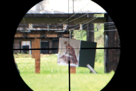 Offenes Absehen HAWKE Endurance 30IR 1-4 x 24 Absehen HAWKE Endurance 30IR in der Praxis