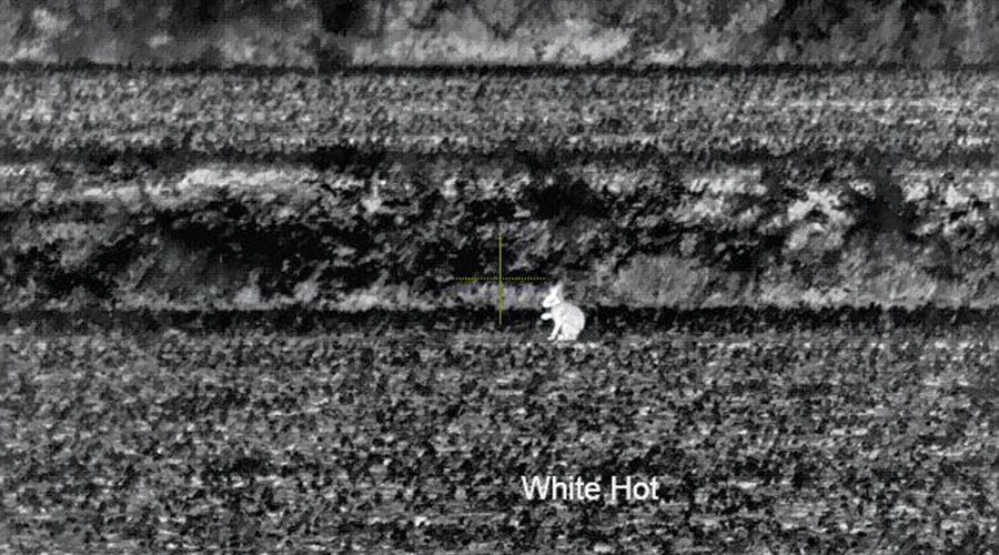 InfiRay MATE MAH50 Wärmebildvorsatzgerät: Nachtjäger im Test