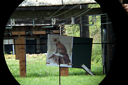Test: Zielfernrohre für die Jagd - KAHLES Helia 5 2,4-12x56i Test: Zielfernrohre für die Jagd - KAHLES Helia 5 2,4-12x56i