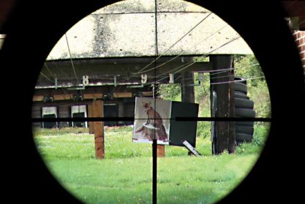 KAPS TLB 1-4x24 Zielfernrohr für die Jagd im Test Absehen des KAPS TLB in der Praxis