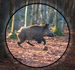 Leica Magnus 1-6.3x24 i: Zielfernrohr für die Jagd Größe der Austrittspupille des Zielfernrohrs Leica Magnus 1-6.3x24 i