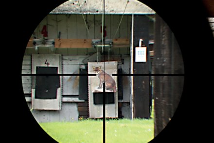 NIKON Monarch 7 IL 1,5-6 x 42: Zielfernrohr für die Jagd im Test Absehen beim Blick durch das Nikon Monarch 7 IL 1,5-6 x 42