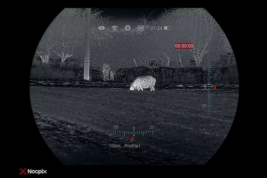 Sau im Anblick - Nocpix MATE H50R 