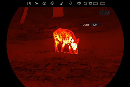 Premiere des Nocpix OMNI 8K: Das neue Multispektral-Fernglas bereits im jagdlichen Praxiseinsatz mit Video