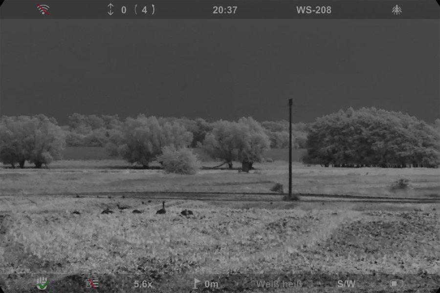 Digitales Fernglas mit Entfernungsmesser - Pard Osprey