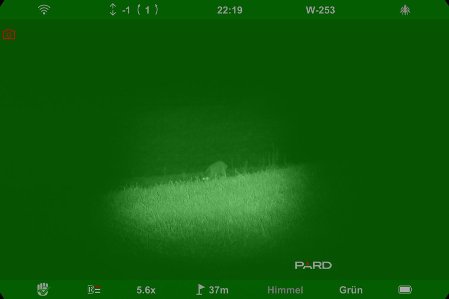 Pard Osprey 4k Review