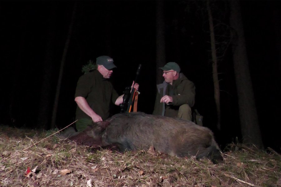 Selbstaktivierte Videoaufnahme und Einschießen des PARD Predator für Jagd auf Schwarzwild mit Vorsatzgerät Erfolgreiche Jagd auf Schwarzwild mit Vorsatzgeräten von PARD