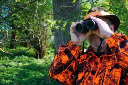 Kahles Helia RF 8x42 im Revier.