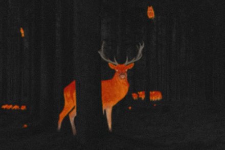 Die neue Wärmebildkamera-Baureihe ZEISS DTI 6 − flexible High-End-Lösung für die Jagd im freien Feld und im Wald Die neue Wärmebildkamera-Baureihe ZEISS DTI 6 − flexible High-End-Lösung für die Jagd im freien Feld und im Wald