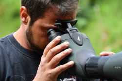 Test: Teleskopsystem Swarovski BTX Binokulares Spektiv Swarovski BTX, durch das mit beiden Augen geblickt wird