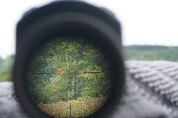 Test: smartes Zielfernrohr Swarovski dS 5-25x52 P für die Jagd Head-up-Display des Zielfernrohrs Swarovski dS 5-25x52 P projiziert die Zielentfernung und den korrigierten Haltepunkt