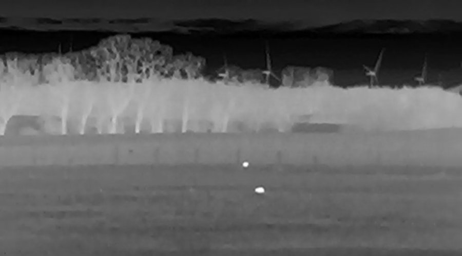 ThermTec Wärmebildgeräte im Praxistest: Cyclops 340D, Cyclops 635Pro und 319Pro – mit Video aus dem Revier Cyclops 340D, bei 40mm Zoom