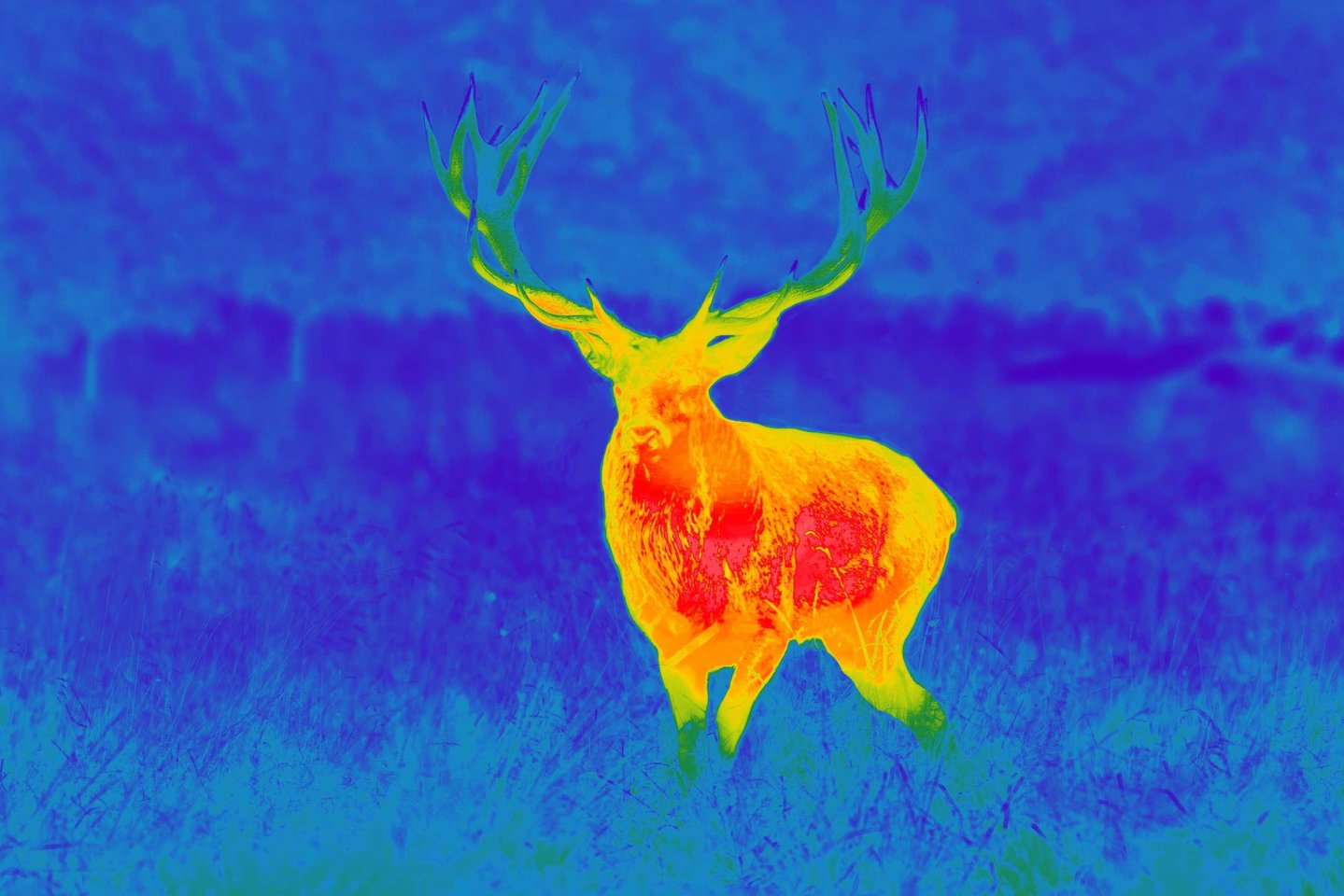 Urban Color-Wärmebild Spectra TI35