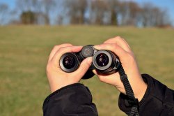 Test: ZEISS Victory SF 8x42 Fernglas Dioptrienverstellung des Zeiss Victory SF 8x42 Fernglases