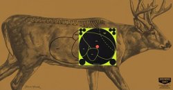 Angebote und Tipps zur Bockjagd von Waffen Ferkinghoff Jagdscheibe Set Hirsch von Birchwood Casey
