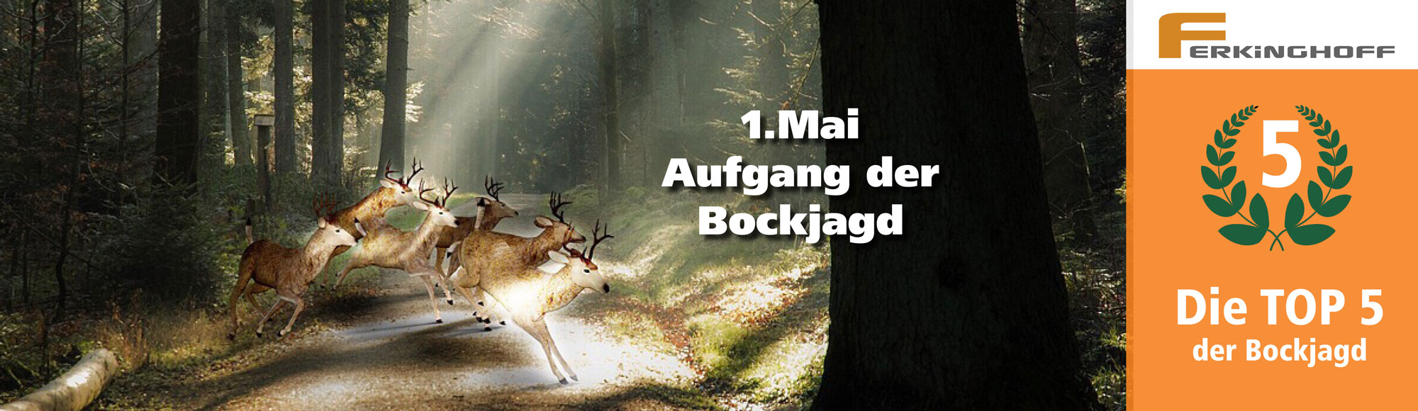 ferkinghoff: Tipps und Angebote von Ferkinghoff zur erfolgreichen Bockjagd