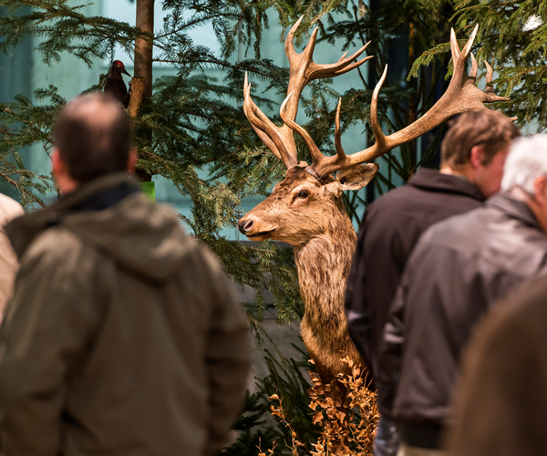 bleifreie-munition: Messe-Rückblick: Fischen, Jagen, Schiessen 2014 in Bern