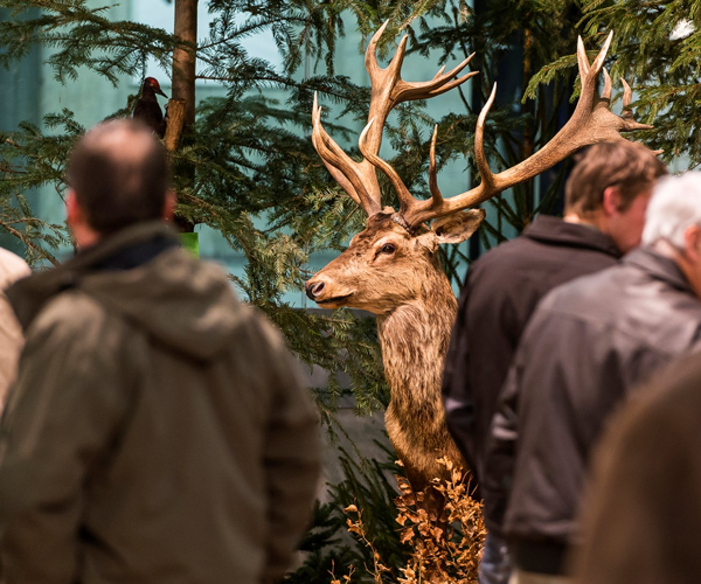 Messe-Rückblick: Fischen, Jagen, Schiessen 2014 in Bern