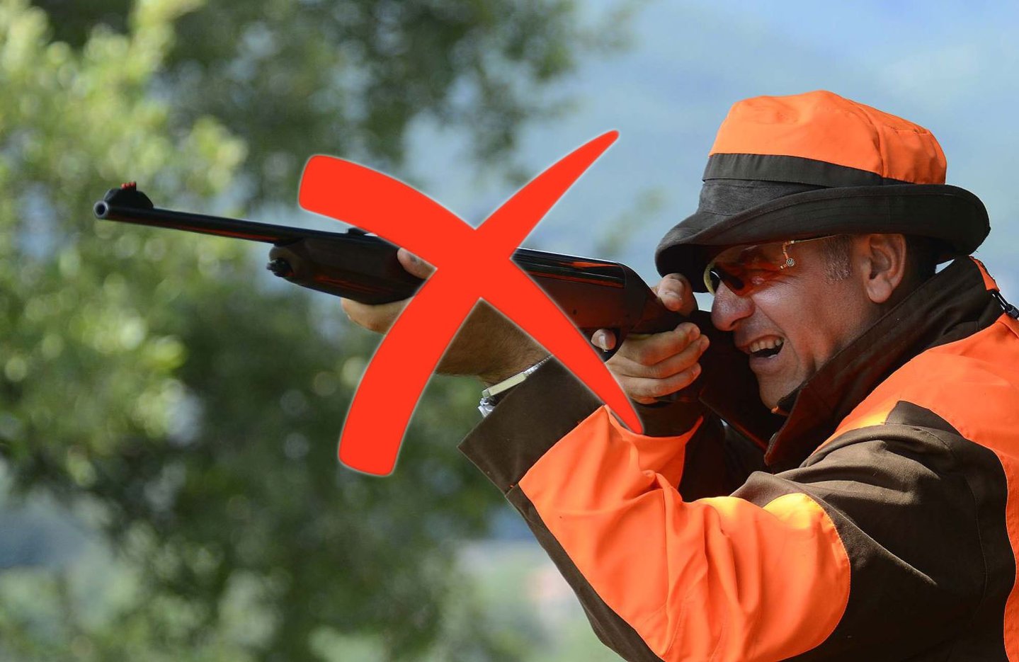 Urteil des BVerwG Jagdbüchse