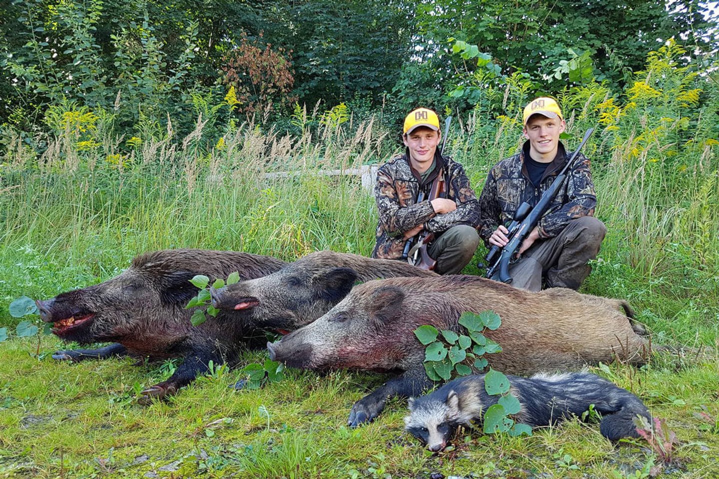 Sauenjagd im Maisfeld mit den Hunter Brothers Jagderfolg im Maisfeld
