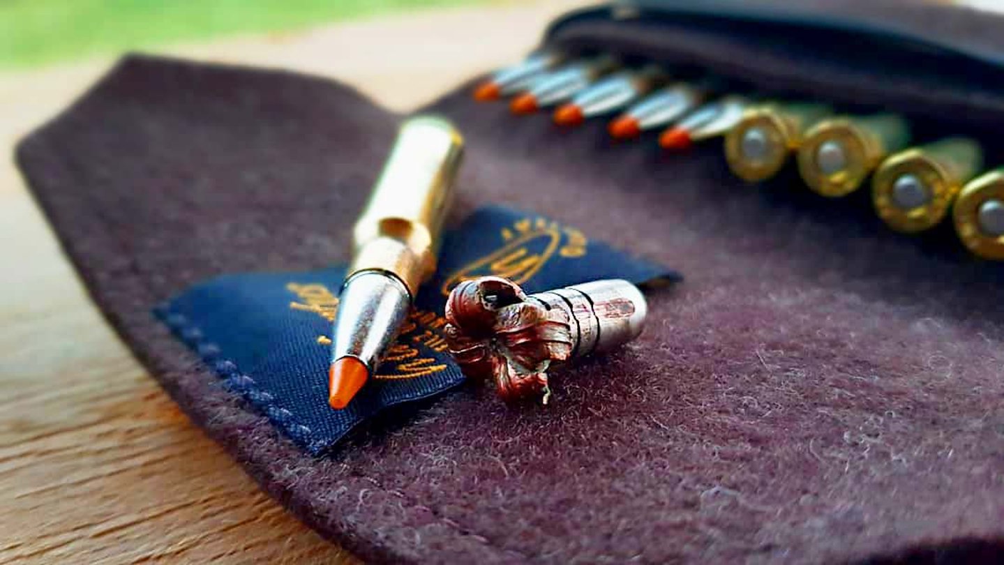 Hunting Felix erste Wahl RWS HIT RWS HIT Munition in Nahaufnahme