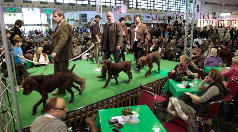 Nachbericht zur JAGD & HUND 2014 Nachbericht zur JAGD & HUND 2014