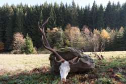 Jagd und Naturschutz – wie passt das zusammen? P1200585-min.jpg