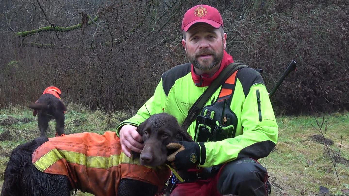 Jagdhunde im Einsatz: Worauf kommt es bei der Hundearbeit an? Hundeführer mit brauchbaren Jagdhund, der Hundeschutzweste trägt