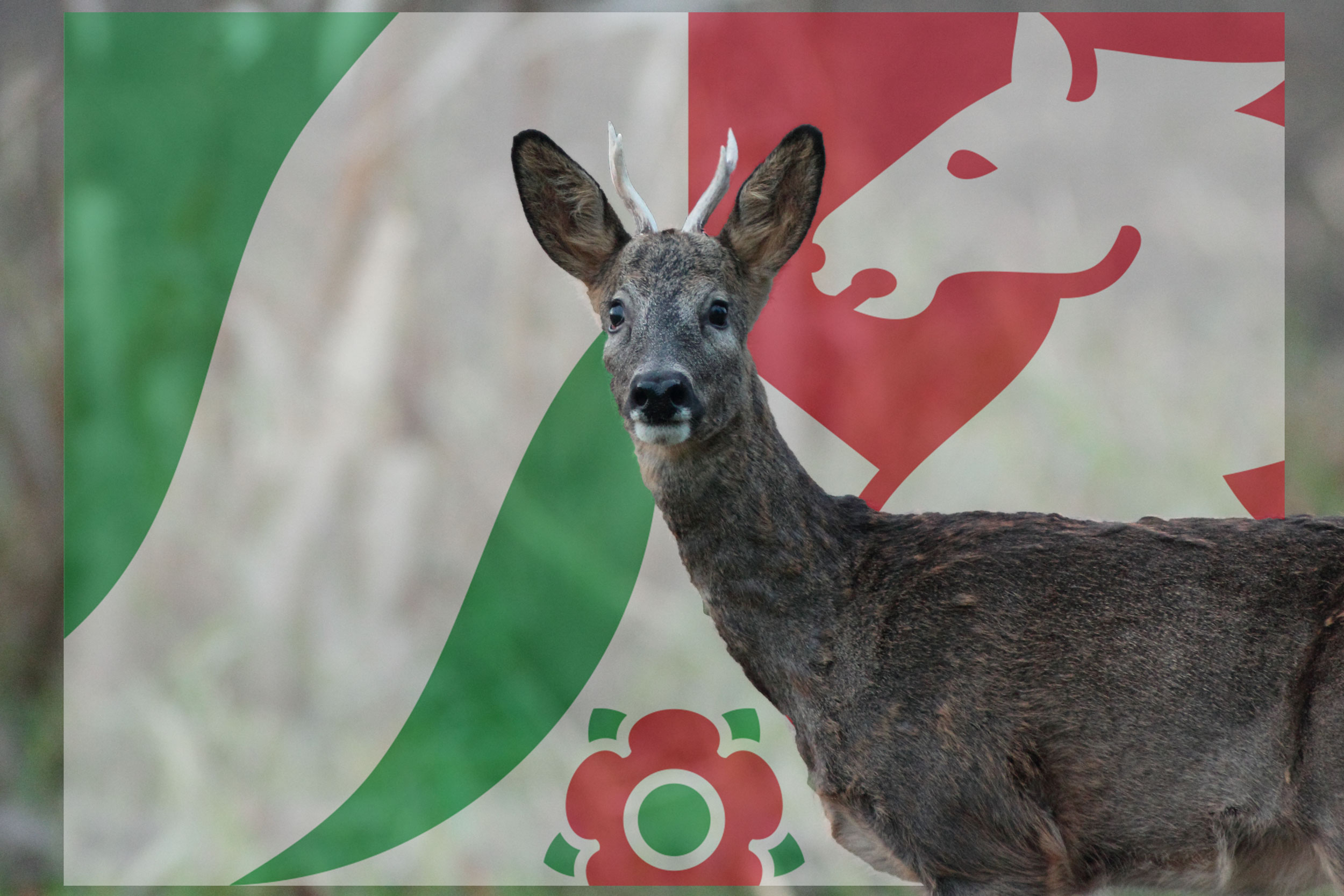 jagdrecht: Landtag NRW muss umstrittenes Landesjagdgesetz beraten