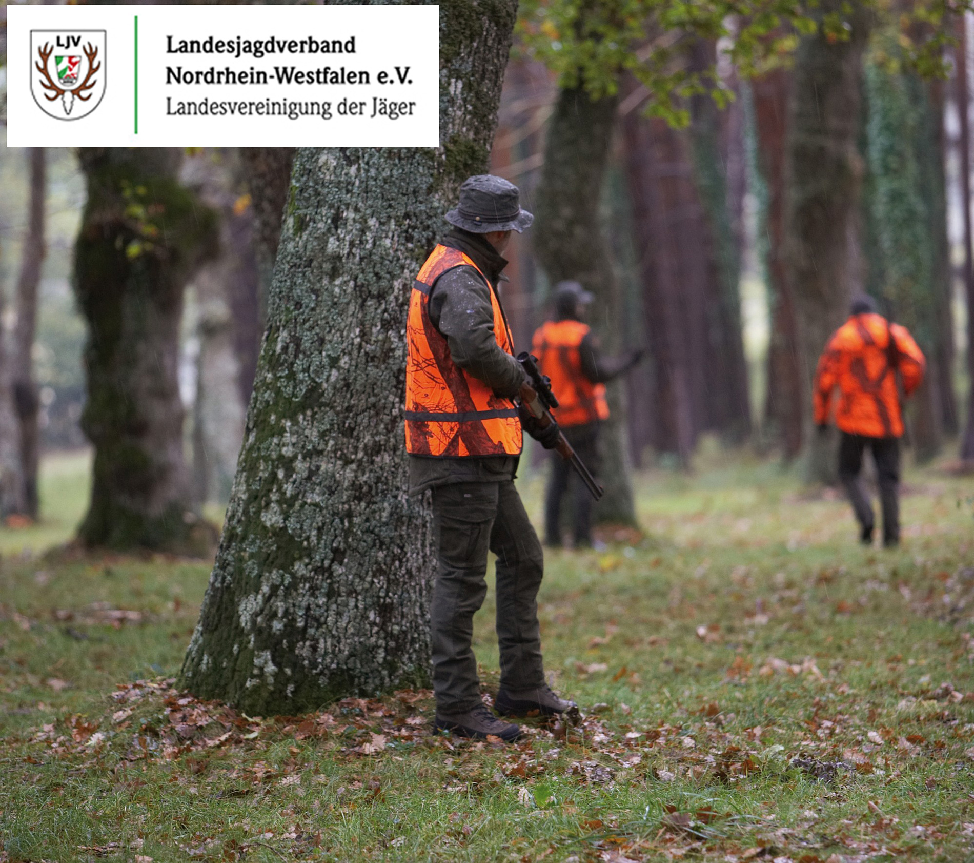 jagdmunition: Der LJV NRW wehrt sich gegen Jagdgesetzentwurf jagdmunition: Der LJV NRW wehrt sich gegen Jagdgesetzentwurf