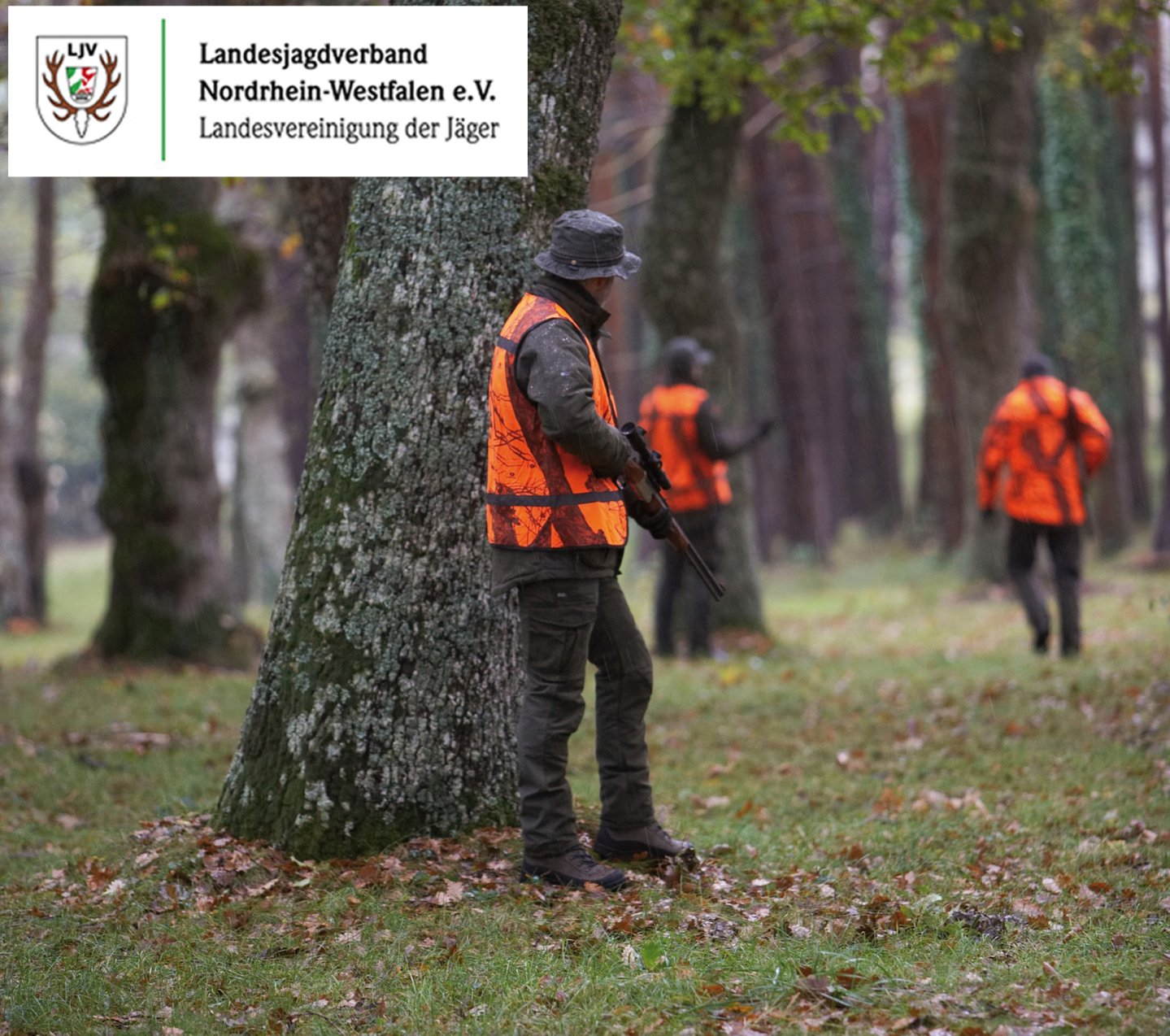 Der Landesjagdverband NRW wehrt sich gegen Jagdgesetzentwurf Der Landesjagdverband NRW wehrt sich gegen Jagdgesetzentwurf