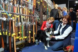 Pferd und Jagd 2017: Messetermin und Überblick Hundeleinen bei der Pferd & Jagd