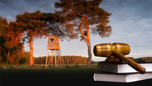 jagd-news: Neues Landesjagdgesetz ein Desaster für Jäger?