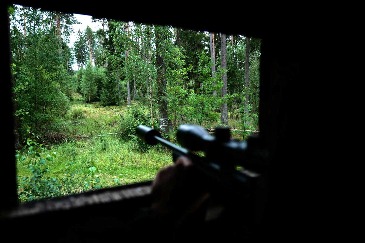 schalldaempfer: Nordrhein-Westfalen erlaubt Schalldämpfer für die Jagd schalldaempfer: Nordrhein-Westfalen erlaubt Schalldämpfer für die Jagd