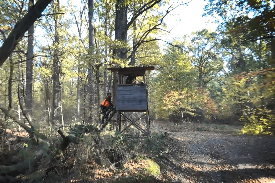 Organisation einer Drückjagd: Was sollte man unbedingt beachten? 5-min.PNG