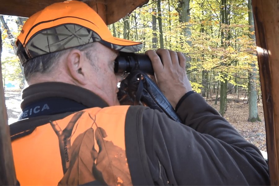 Organisation einer Drückjagd: Was sollte man unbedingt beachten? 3-min.PNG