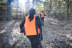 Organisation einer Drückjagd: Was sollte man unbedingt beachten? 2-min.PNG