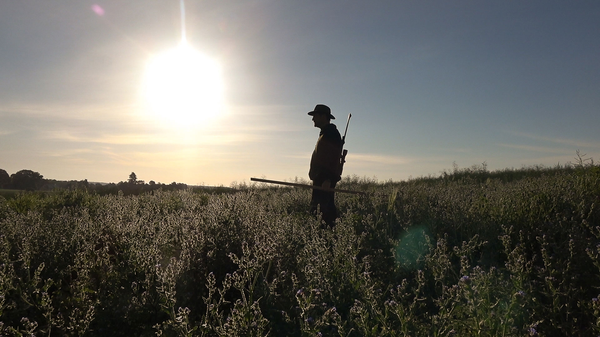 jagd-news: Jagdschein machen: Was ist bei der praxisnahen Jagdausbildung wichtig?