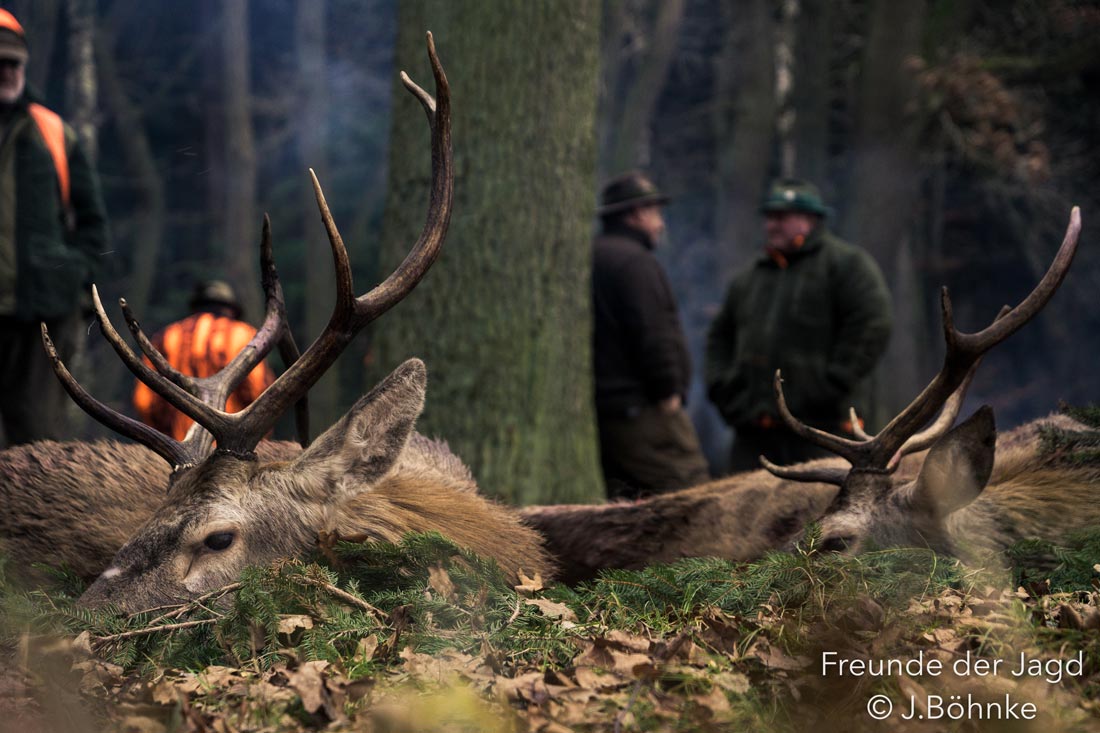Hunter-Brothers: Die eigene Drückjagd von Gerold und Paul Reilmann im Dezember Hunter-Brothers: Die eigene Drückjagd von Gerold und Paul Reilmann im Dezember