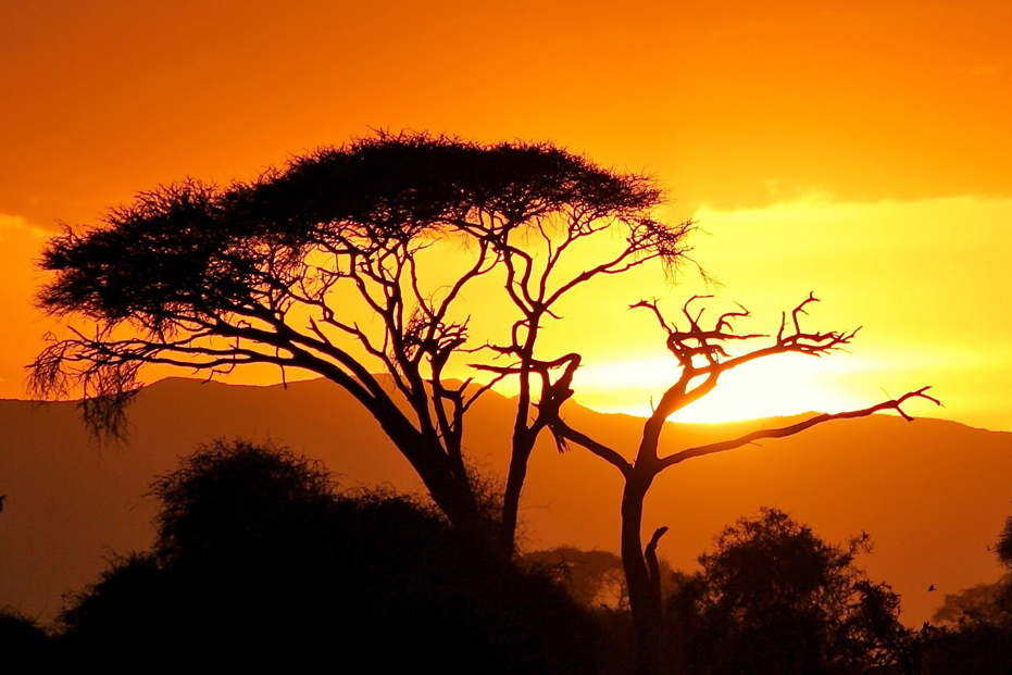 rws-munition: RWS, ZEISS, MAUSER. Video: Mit Fachjournalisten zur Jagd in Südafrika