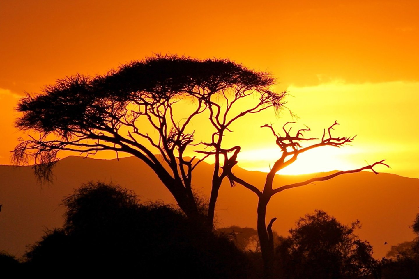 RWS, ZEISS, MAUSER. Video: Mit Fachjournalisten zur Jagd in Südafrika RWS, ZEISS, MAUSER. Video: Mit Fachjournalisten zur Jagd in Südafrika