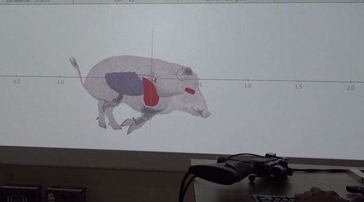 Treffpunktanalyse auf Schwarzwild mit dem MARKSMAN ST-2 Videosimulationssystem in Schießkino