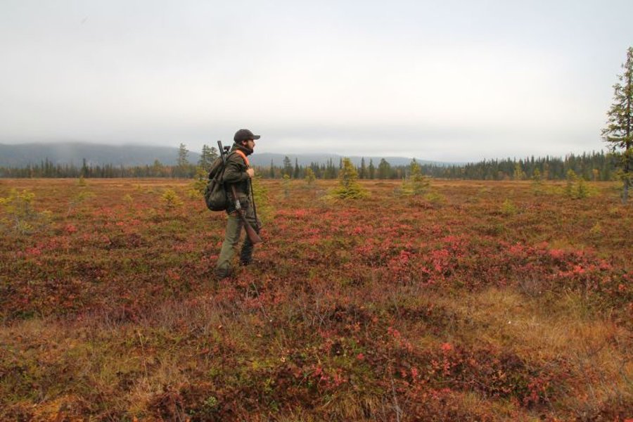 Geplante Verbote für Jäger in Polen und Norwegen Jäger in Lappland