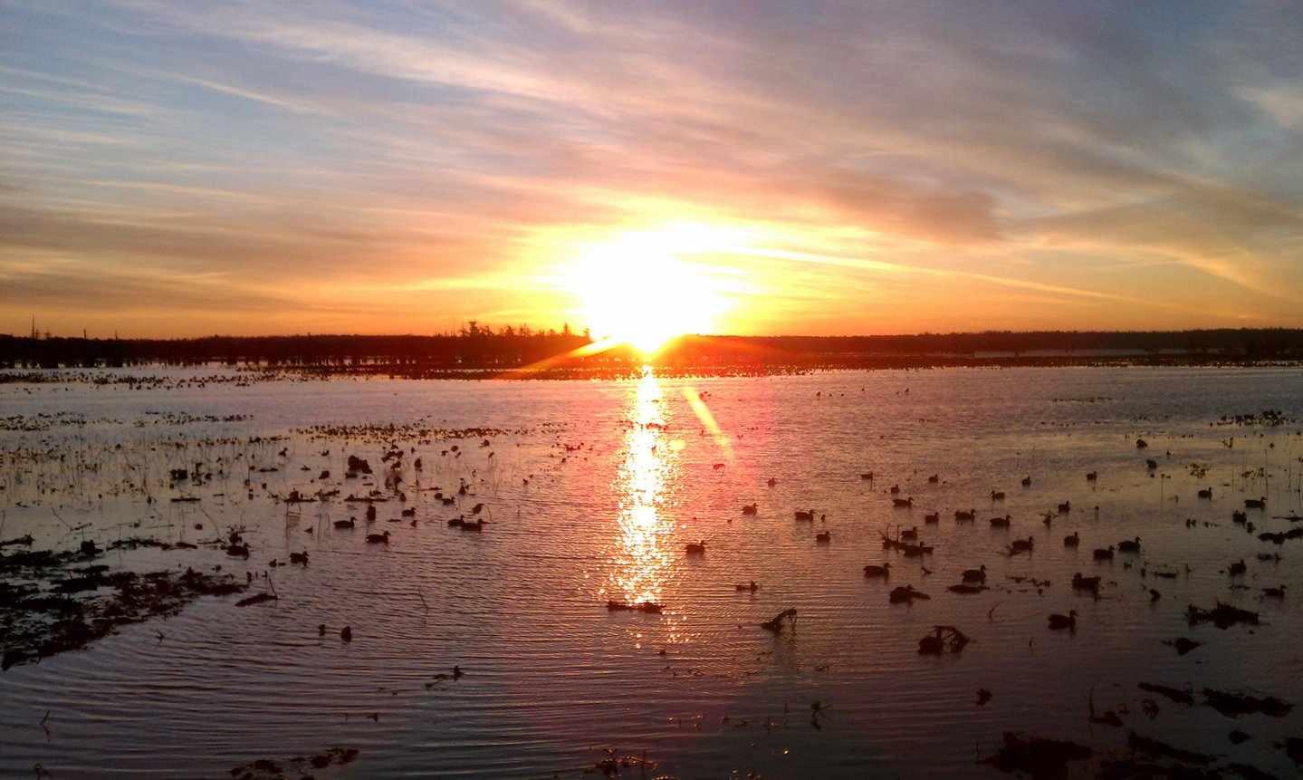 Sonnenuntergang im Moor Jagd auf Enten im Moor.