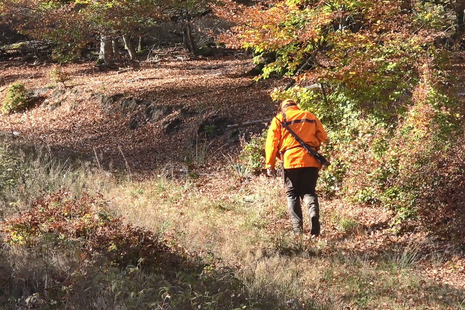 drückjagd: Ausblick auf die Drückjagd-Saison 2018: Interview mit Kai-Uwe Kühl von K&K Premium Jagd