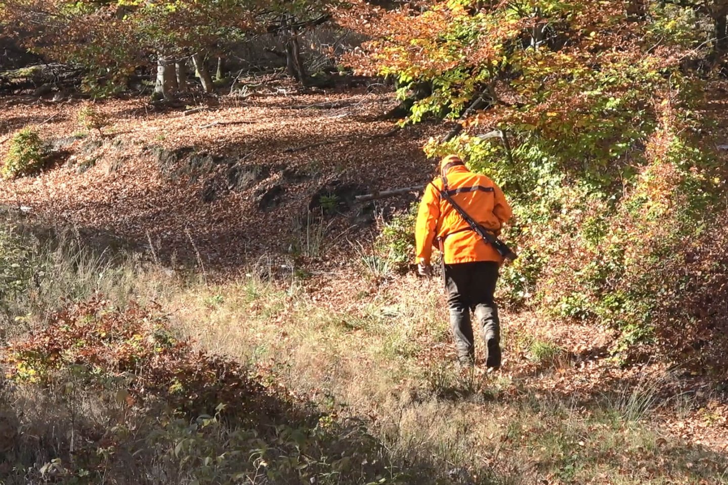 Ausblick auf die Drückjagd-Saison 2018: Interview mit Kai-Uwe Kühl von K&K Premium Jagd Jäger auf der Drückjagd