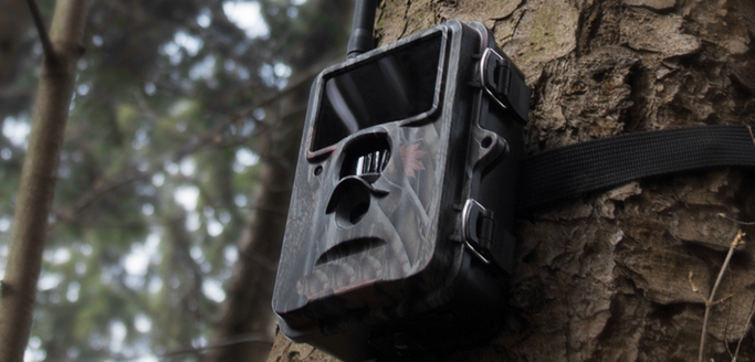 Wildkameras - böse Falle für Jäger?