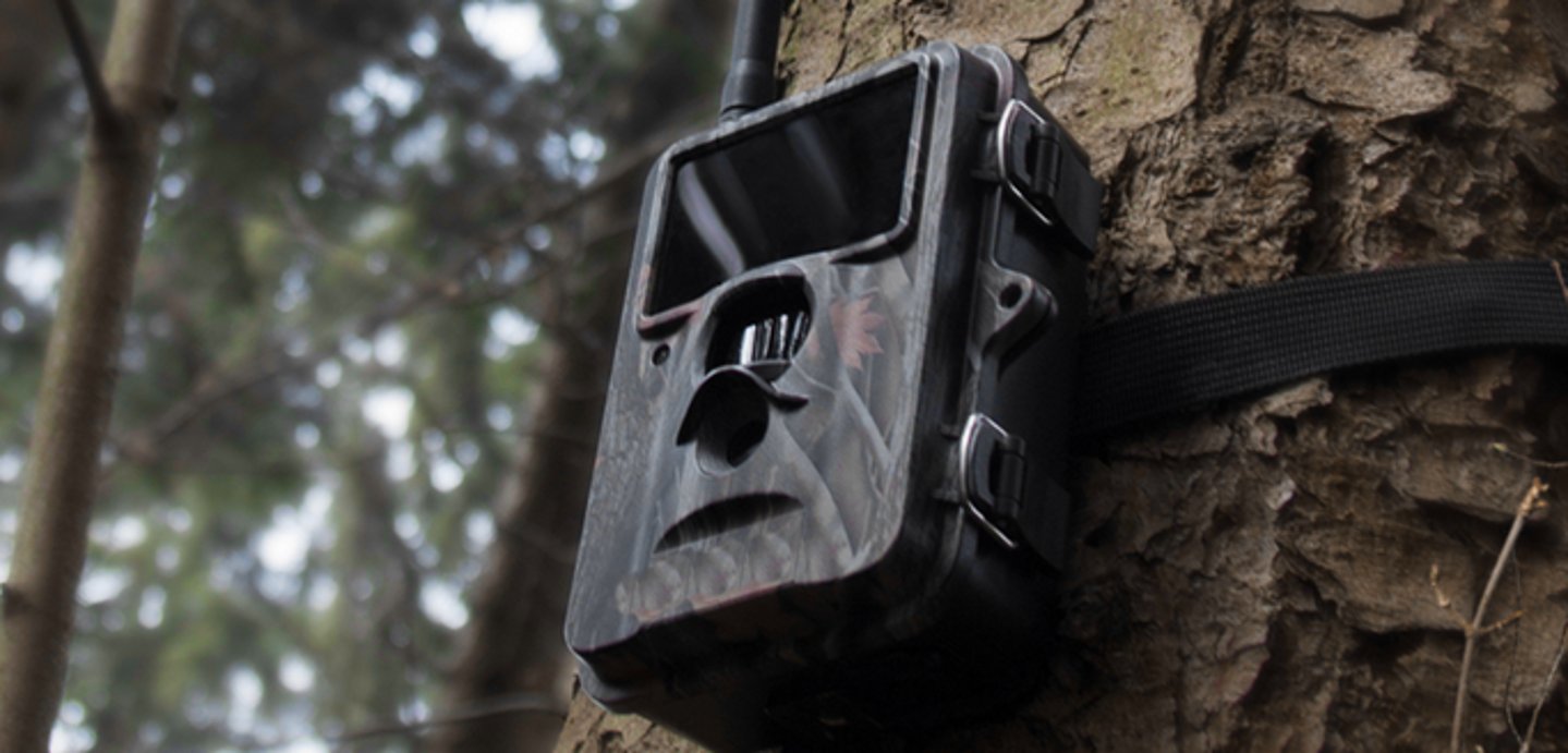 Wildkameras - böse Falle für Jäger?