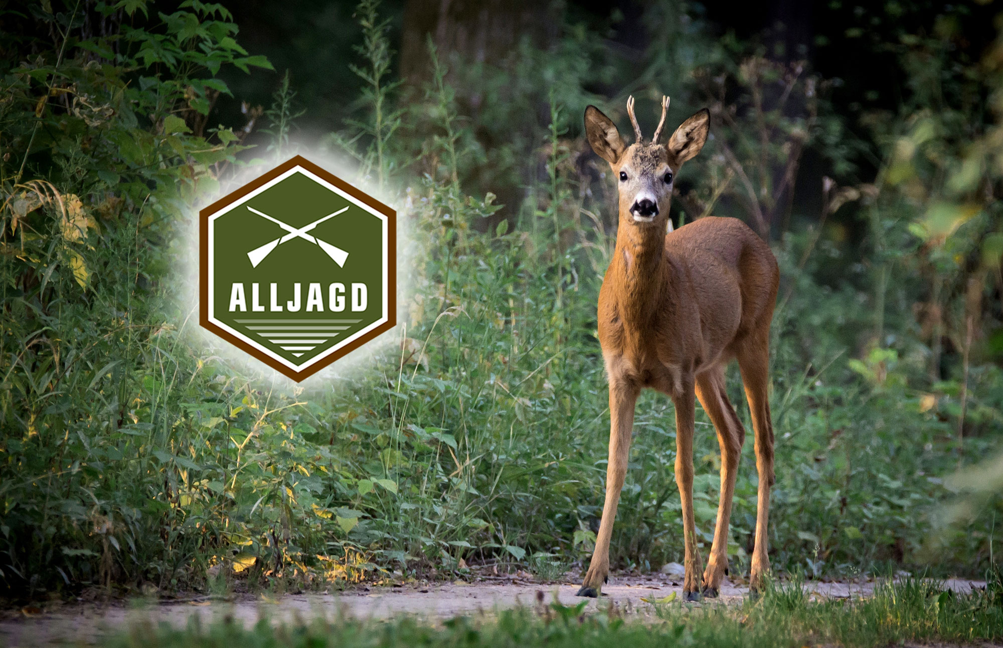 alljagd: Auf zur Bockjagd: Aktuelle Highlights und Angebote von ALLJAGD zur Saison 2023. Online und vor Ort.